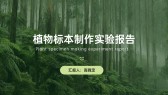 模板缩略图