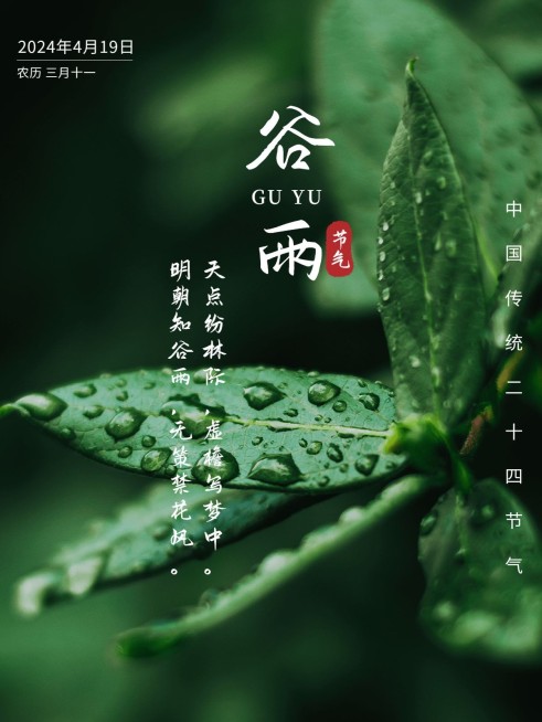 谷雨节日祝福简约风plog模板预览效果