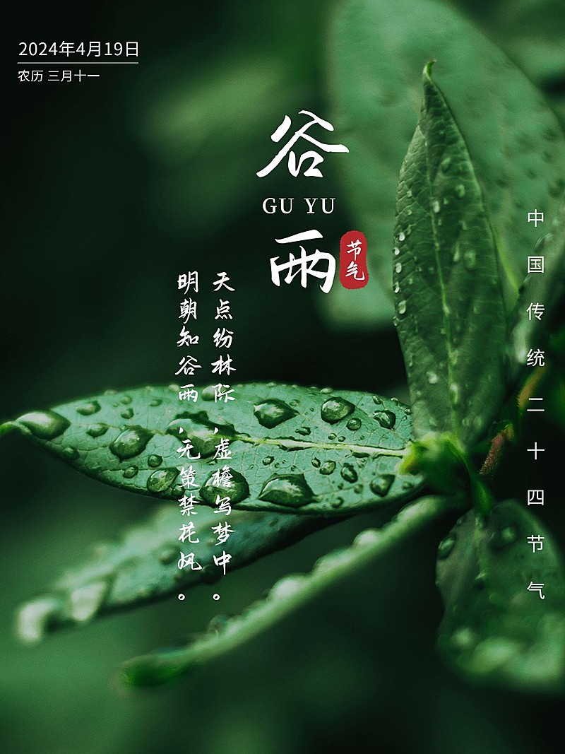 谷雨节日祝福简约风plog模板
