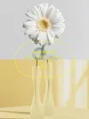 美术作品展示艺术作品介绍