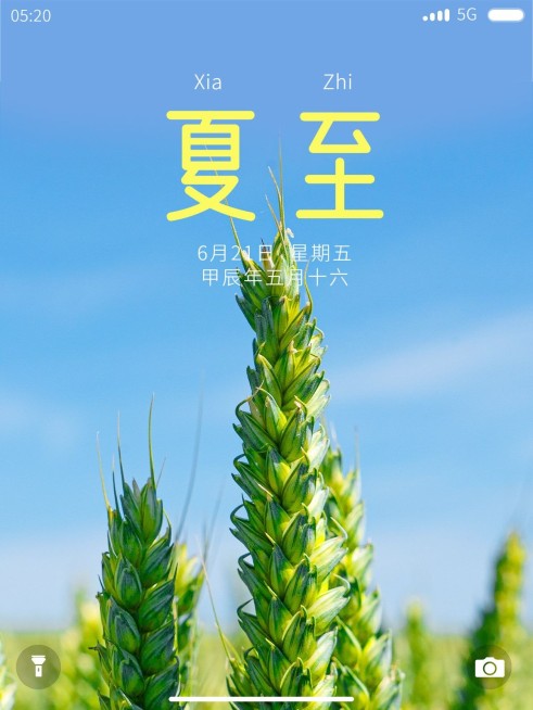 节气夏至节气祝福简约风plog模板预览效果
