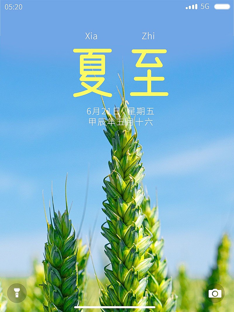 节气夏至节气祝福简约风plog模板