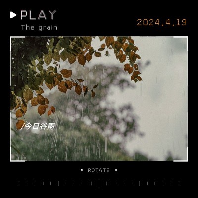 谷雨落叶胶片风景相机模拟文艺风plog模板