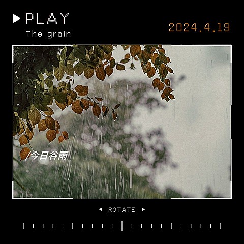 谷雨落叶胶片风景相机模拟文艺风plog模板