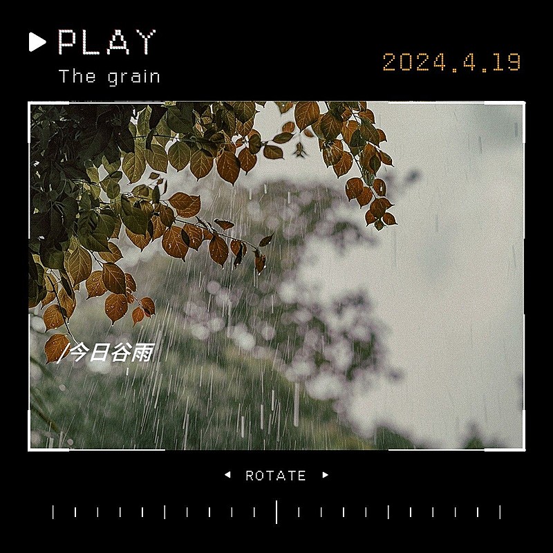 谷雨落叶胶片风景相机模拟文艺风plog模板