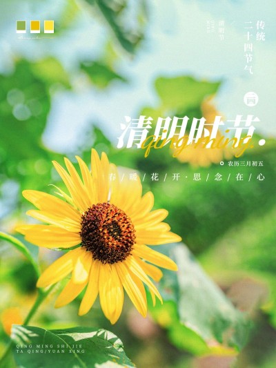 清明节节日晒照PLOG模板