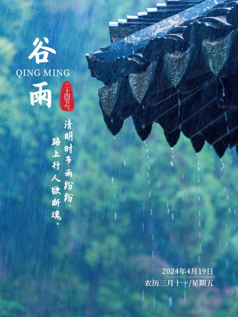 谷雨节气祝福中国风plog模板预览效果