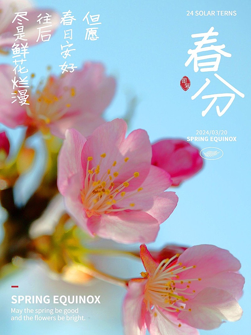 节气春分节气祝福简约风plog模板