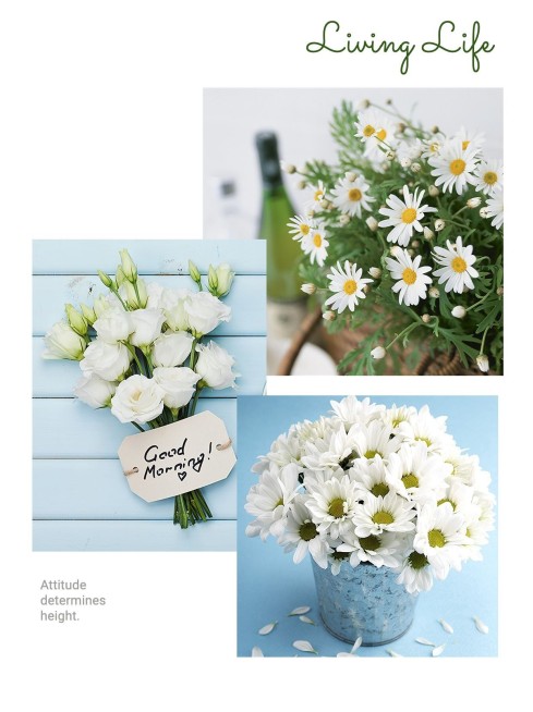 家居装修展示小红书配图预览效果