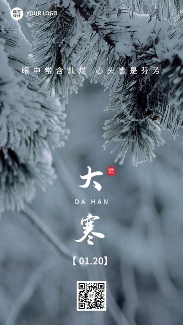 大寒节气祝福实景手机海报预览效果