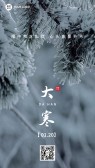 模板缩略图