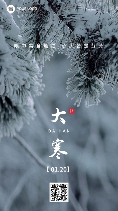 大寒节气祝福实景手机海报
