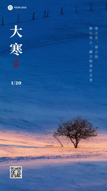 大寒节气祝福实景手机海报预览效果
