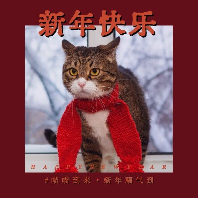 春节晒图春节祝福新年祝福过年猫plog模板