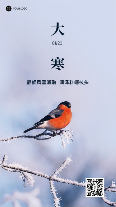 大寒节气祝福实景手机海报