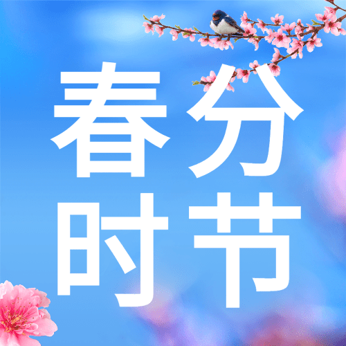 春分节气线上宣传公众号次图预览效果