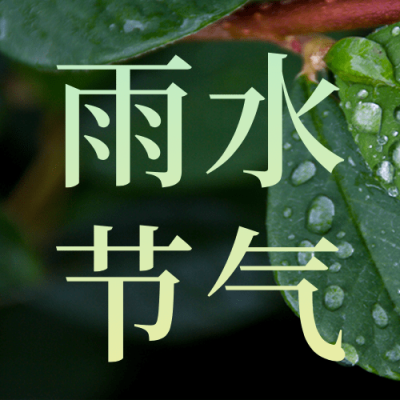 雨水节气祝福公众号次图实景水滴
