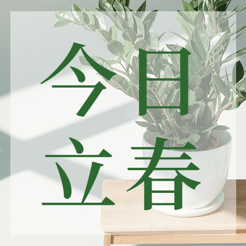 立春祝福春天实景节气公众号次图预览效果