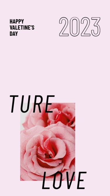 Literary Valentine's Day Rose Display Instagram Story