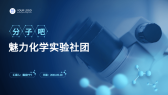 模板缩略图