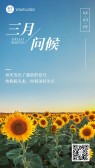 模板缩略图