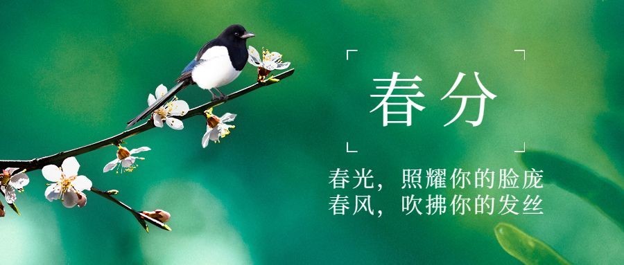 春分节气祝福春天你好公众号首图预览效果