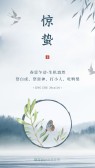 模板缩略图