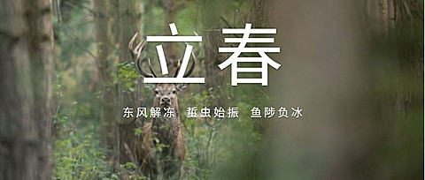 立春东风解冻公众号首图