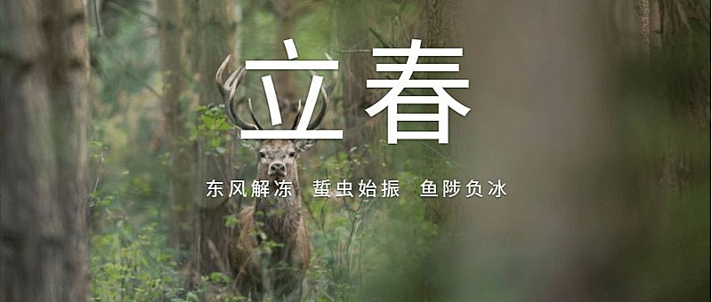 立春东风解冻公众号首图