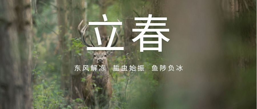 立春东风解冻公众号首图