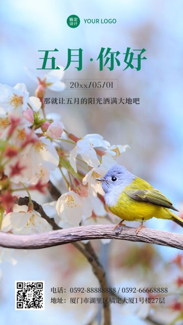 通用5月你好月初问候实景手机海报预览效果