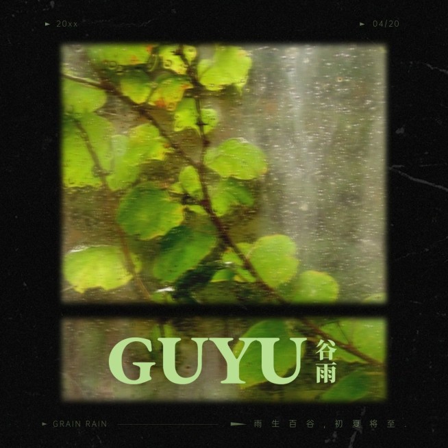 节气谷雨节气祝福相框模拟时尚风plog模板预览效果