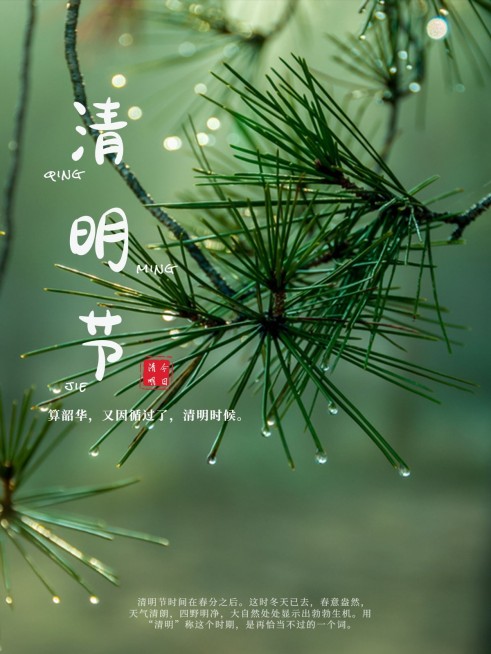 清明节节日祝福简约风plog模板预览效果