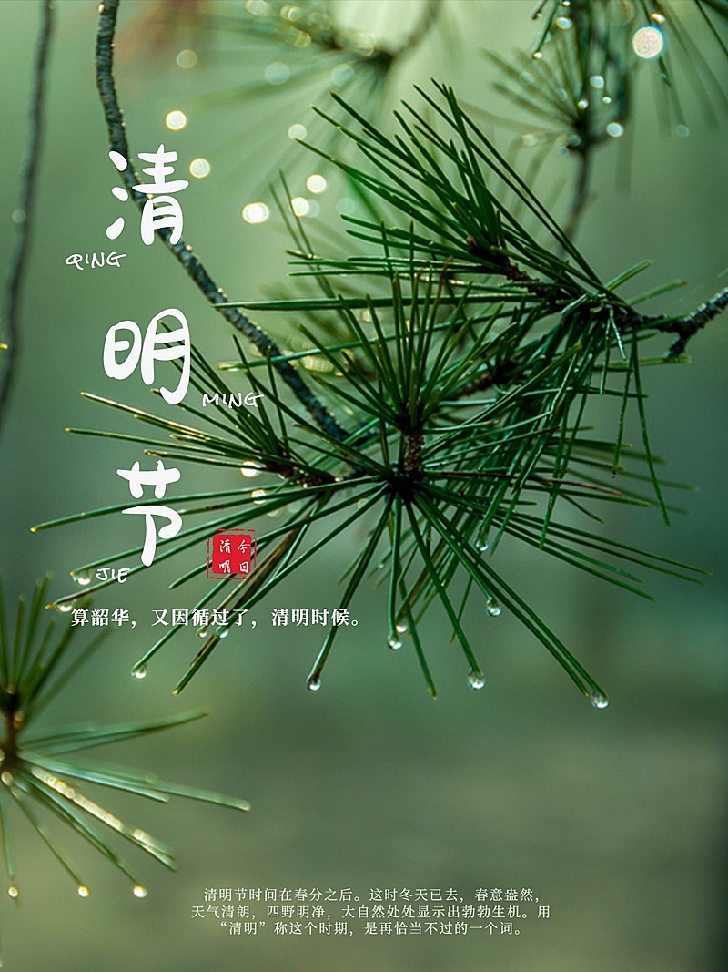 清明节节日祝福简约风plog模板