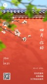 模板缩略图