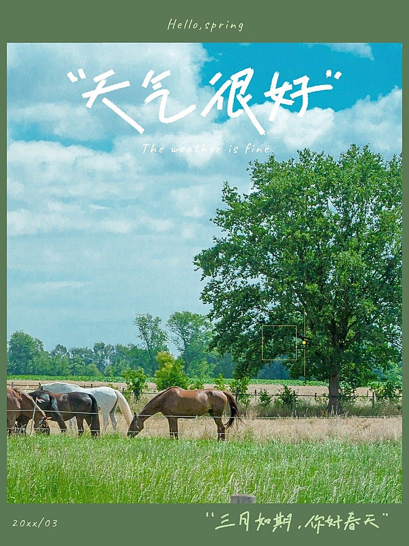 春天风景踏青郊游风景相框模拟清新风plog模板