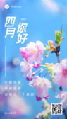 模板缩略图