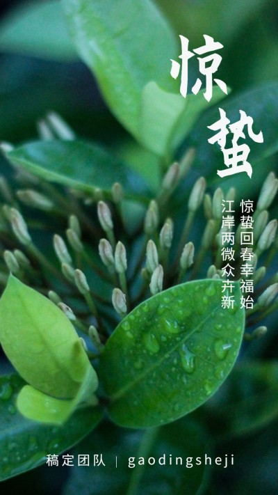 惊蛰节气祝福手机海报