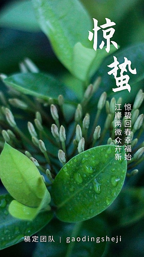 惊蛰节气祝福手机海报