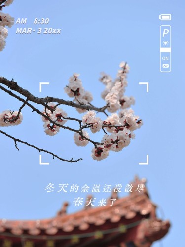 风景春季取景框生活分享记录模板