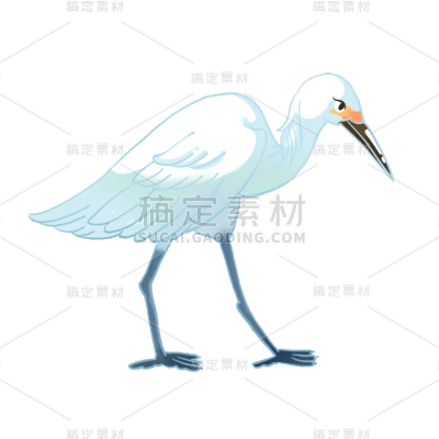 传统节气白露白鹭元素