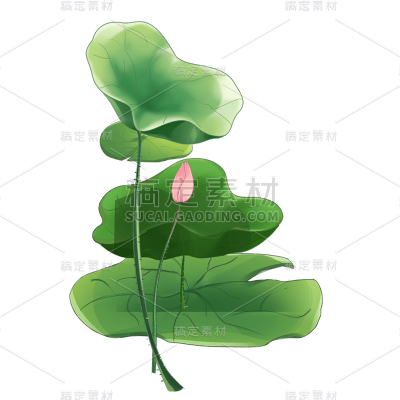 手绘荷花元素贴纸