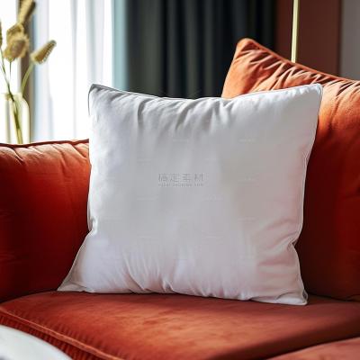 insMind Indoor Background Home
