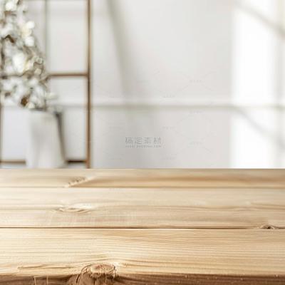 insMind Indoor Background Home