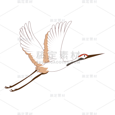 传统节气白露白鹭元素