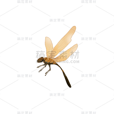 夏至昆虫元素贴纸