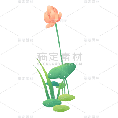 中国风端午节荷花元素贴纸