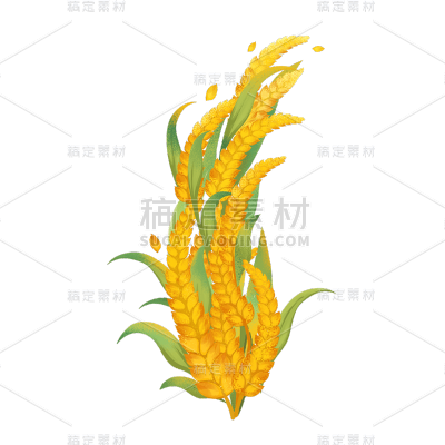 卡通感高考小麦元素贴纸