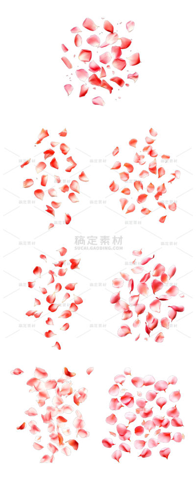 素材组合-浪漫玫瑰花瓣2