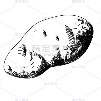 SVG-美食元素蔬菜线稿贴纸-土豆